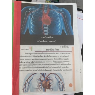 ชีทชีวะ ระบบไหลเวียน มือ 2 *ใช้กระดาษ recycle ปริ้นสี* biology