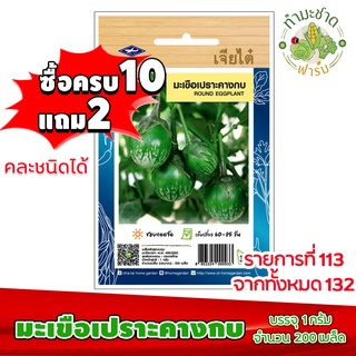 (ซื้อ10แถม2) เมล็ดพันธุ์ มะเขือเปราะ คางกบ Round eggplant ประมาณ 200เมล็ด เจียไต๋ เมล็ดพันธุ์พืช เมล็ดพันธุ์ผัก เมล็ดผัก