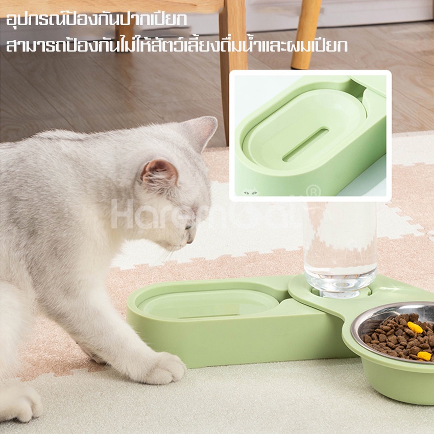 ชามข้าวแมว ที่ให้อาหารแมว ที่ให้น้ำแมว จานข้าวแมว พับและกางได้ Cat Food Feeder