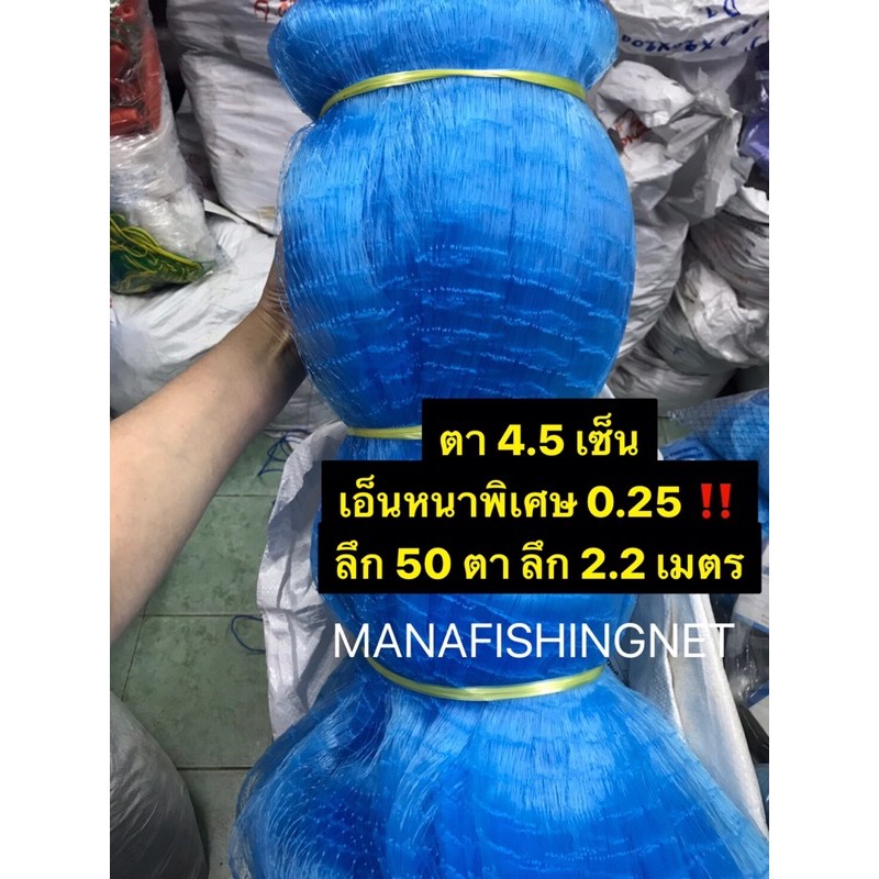 My Image 31