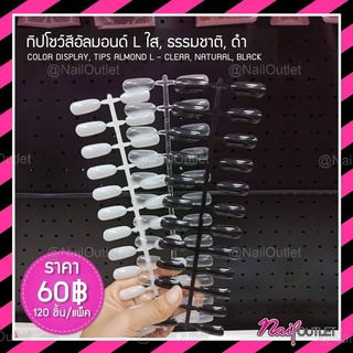 ทิปโชว์สี อัลมอนด์ L