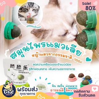 [พร้อมส่ง] แคทนิป​ สมุนไพรแมวเลีย​ บอลสมุนไพร​ ลูกบอลแมวเลีย ขนมแมว ขนมแมวเลีย อาหารแมว อาหารเสริม ball herb