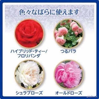 ❗️พร้อมส่ง❗️ปุ๋ยบำรุงกุหลาบ my rose ขนาด 700 g
