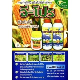 🚚 จีโอ-โปร จีโอโปร จีโปร คุม-ฆ่า หญ้าใน ไร่ข้าวโพด จีโอโปร  คลีโอโปร คุมนาน 2 เดือน