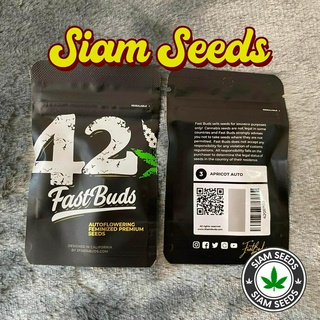 เมล็ดกัญชา Fastbuds Apricot Auto Cannabis Seeds (Pack of 3)