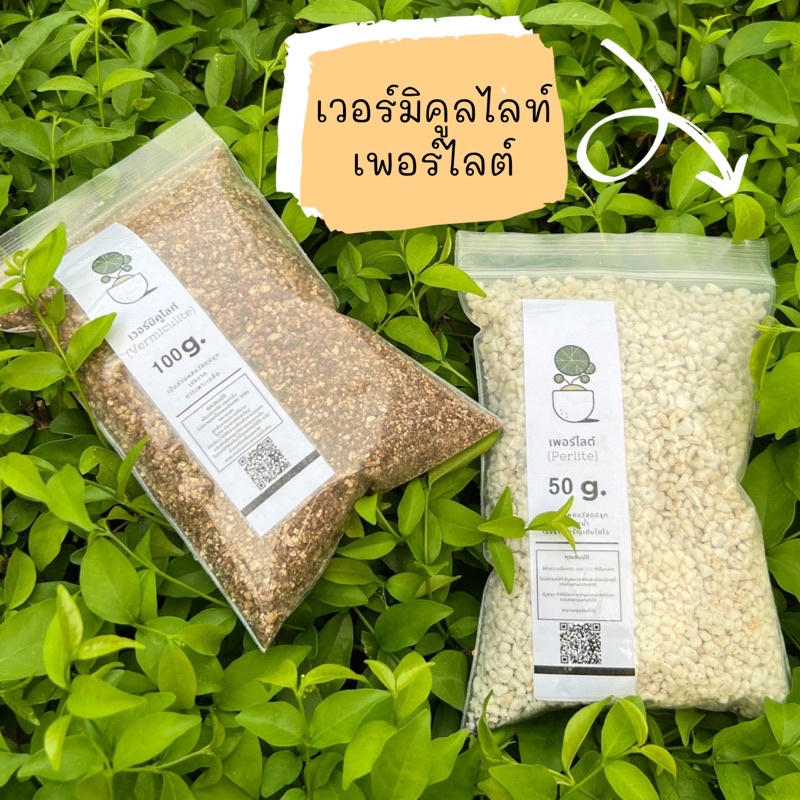 เพอร์ไลท์ Perlite และ เวอร์มิคูไลต์ vermiculite เป็นสารเติมแต่งในดินตามธรรมชาติที่ช่วยปรับปรุงโครงสร้างของดิน