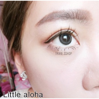 คอนแทคเลนนส์ Little Aloha gray