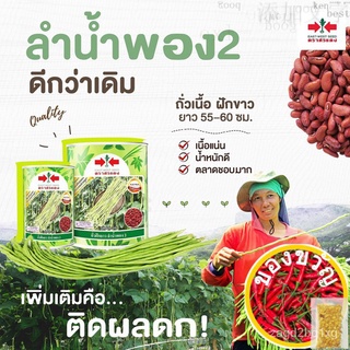 เมล็ดอวบอ้วน100%ใหม่ เมล็ดถั่วฝักยาว ลำน้ำพอง2  ตราศรแดง ขนาด100กรัมและ500กรัม เมล็ดพันธุ์ถั่วฝักยาว ถั่วฝักยาว ถั่วฝักย