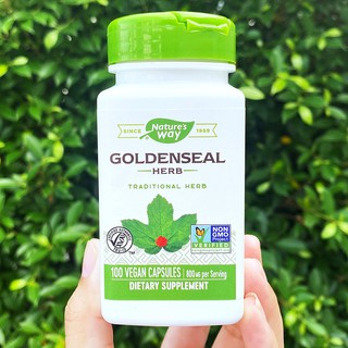 โกลเด้นซีล Goldenseal Herb 800 mg 100 Vegan Capsules (Natures Way®) สกัดจากลำต้น ใบและดอก