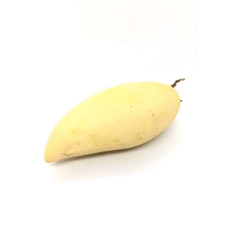 มะม่วงน้ำดอกไม้ / โชคอนันต์ / มหาชนก / แก้วขมิ้น 1กิโล หอมหวานอร่อย สด สะอาด