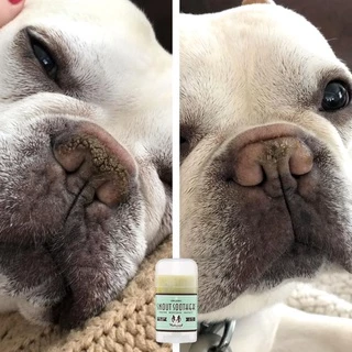 Snout Soother บาล์มทาจมูกสุนัข ขนาดพกพา 4.25g | แก้จมูกแห้ง แตก ลอก ช่วยให้ชุ่มชื้นอย่างอ่อนโยน | Natural Dog Company