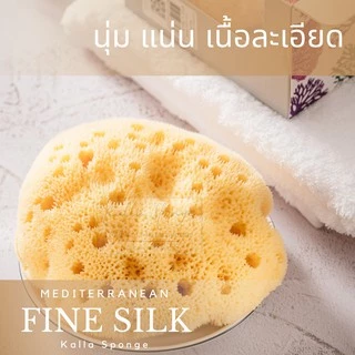 KALLA SPONGE ฟองน้ำธรรมชาติ ชนิด Fine Silk สีเหลือง ฟองน้ำ สำหรับล้างหน้าและอาบน้ำ เด็กและทารก