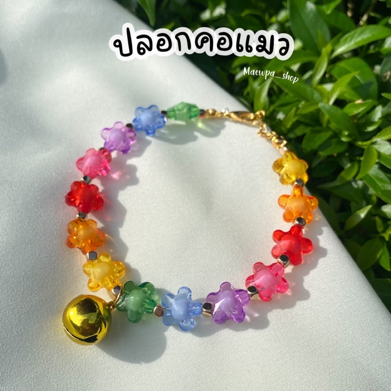 ปลอกคอแมว / สุนัข สีสดใส ใส่แล้วเด่น
