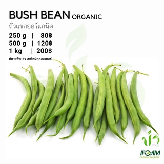 ถั่วแขกออร์แกนิค Organic Bush Bean มาตรฐานออร์แกนิค IFOAM ผักสลัด ผักสด เก็บ-แพ็ค-ส่ง เก็บใหม่ทุกออเดอร์