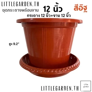 Little ชุดกระถางพร้อมจาน 12 นิ้ว(พร้อมจาน 10 นิ้ว)(สีขาวออร่าA+🤍) (ดำเงาA+🖤) (สีอิฐ🧱)(หลายขนาด 10.5 นิ้ว 8(7.5”)นิ้ว)