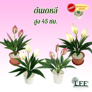 ต้นเดหลีกวักเงิน เสมือนจริง สูง45 ซม. #ต้นไม้ปลอมตกแต่งบ้าน Leeartplants