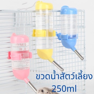 สัตว์เลี้ยงขนาดเล็กกาต้มน้ำ 250 ml อุปกรณ์สัตว์เลี้ยงกระต่ายมังกรแมวอัตโนมัติให้อาหารน้ำขนาดใหญ่หนูแฮมสเตอร์ดื่ม