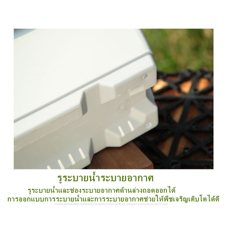 รูปภาพ 4