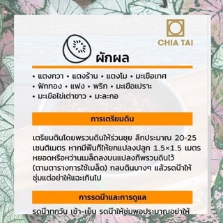 GGEW พริกขึ้หนูพัฒนฉันท์ 150เมล็ด ตราศรแดง พริกช่อ แบบเม็ดใหญ่เมล็ดพันธุ์พระราชทาน จันกะผัก Bunch Chilli