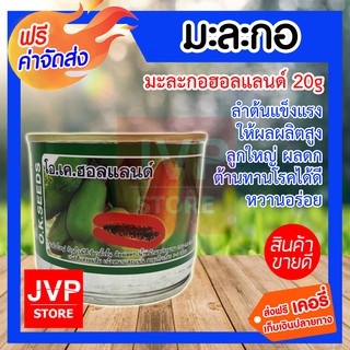 ***ส่งฟรี***มะละกอ โอ.เค.ฮอลแลนด์ 20g (Papaya seeds) ปลูกง่าย ลำต้นแข็งแรง ให้ผลผลิตสูง ต้านทานโรคได้ดี มี100-120เมล็ด