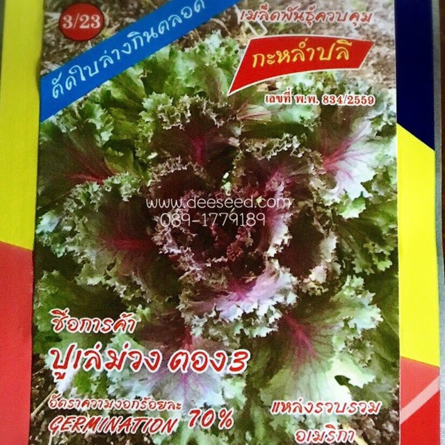 ปูเล่ สีม่วง อเมริกา (20 เมล็ด) ราคาถูก Shopee Lazada