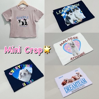 MINI CROP 🌟 เสื้อยืดครอปทรงพอดีตัว