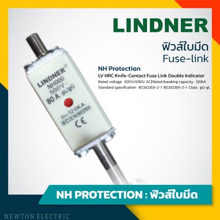 Lindner ฟิวส์ใบมีด NH Protection 500V ฟิวส์ AC