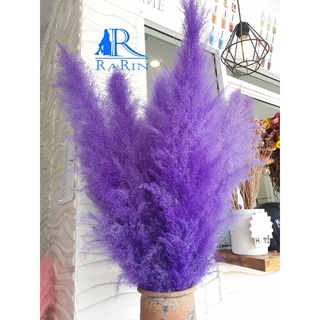 Rarin ดอกเลาย้อมสี (สีม่วง5ก้าน) ขนาด 80-90 cm. เป็นดอกไม้ธรรมชาติ  ดอกฟุ้งฟิ้ง ใช้ประดับห้อง ร้าน งานแต่ง