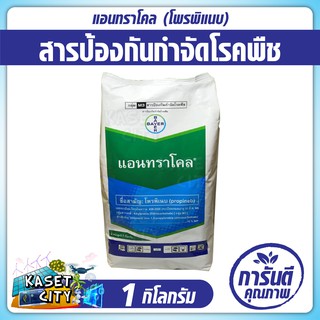 แอนทราโคล โพรพิเนบ (propineb)1 kg. สารป้องกันกำจัดโรคพืช ในข้าว คะน้า พริก เช่นใบจุดน้ำตาลในข้าว โรคราน้ำค้าง เชื้อราพืช