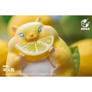 "Animal Planet AP-010 : Lemon Squirrel  "น้องหนูมะนาว