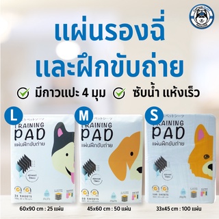 Hajiko Training Pad  ฮาจิโกะ แผ่นรองฉี่ ฝึกขับถ่าย รุ่นแผ่นธรรมดา