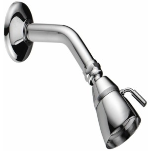 RT-SOA002 RUBINE SHOWER ROSE C/W ARM