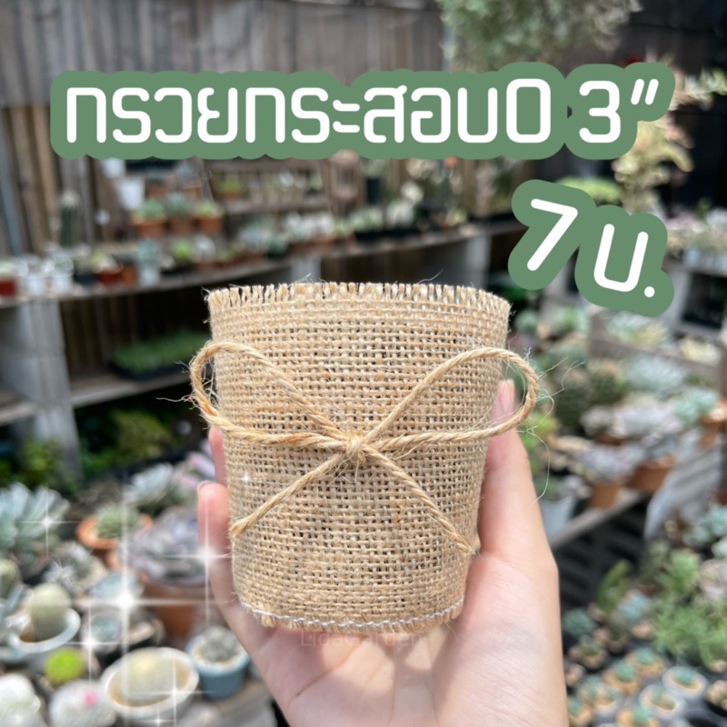 [กรวยกระสอบกระถางกลม] 3”ราคา 7บาท🪴