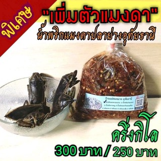 🔥น้ำพริกแมงดาปลาย่าง[พิเศษเพิ่มตัวแมงดา]​ 🏷️ครึ่งกิโล 250 บาท -​ 300 บาท ✔️ร้านแม่สมหมาย อุทัยธานี XXXXXXXX