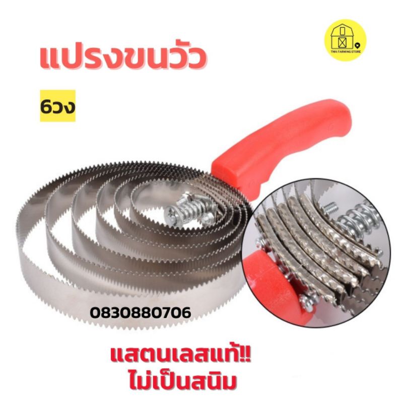 แปรงขนวัว แปรงเกาขนวัว แพะ แกะ ม้า 6 วง สแตนเลสแท้