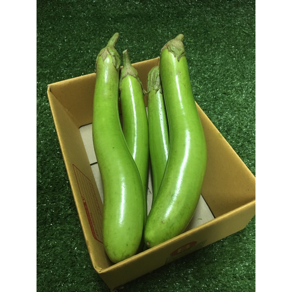 มะเขือยาวสด  – ผักผลไม้สด