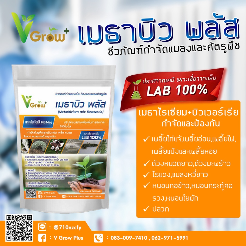 บิวเวอร์เรีย + เชื้อราเมธาไรเซียม แบบผง(500กรัม) ส่งฟรี