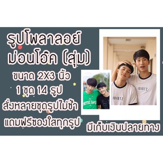 รูปโพลาลอยด์ ม่อนโอ๊ค (สุ่ม)