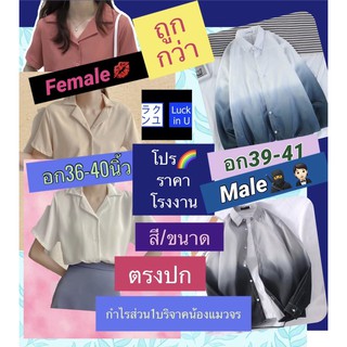 เสื้อเชิ้ตแขนยาวผู้หญิง เสื้อทำงานออฟฟิศ เสื้อแขนยาวพร้อมส่งผ้าใส่สบายคอวีเสื้อทํางาน ( แบบสวมไม่มีกระดุม )