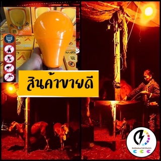 หลอดไฟไล่ยุง LED 20wป้องกันยุงและเเมลงด้วย คลื่นแสงพิเศษ
ครอบคลุมพื้นที่ 6x6 ตรม