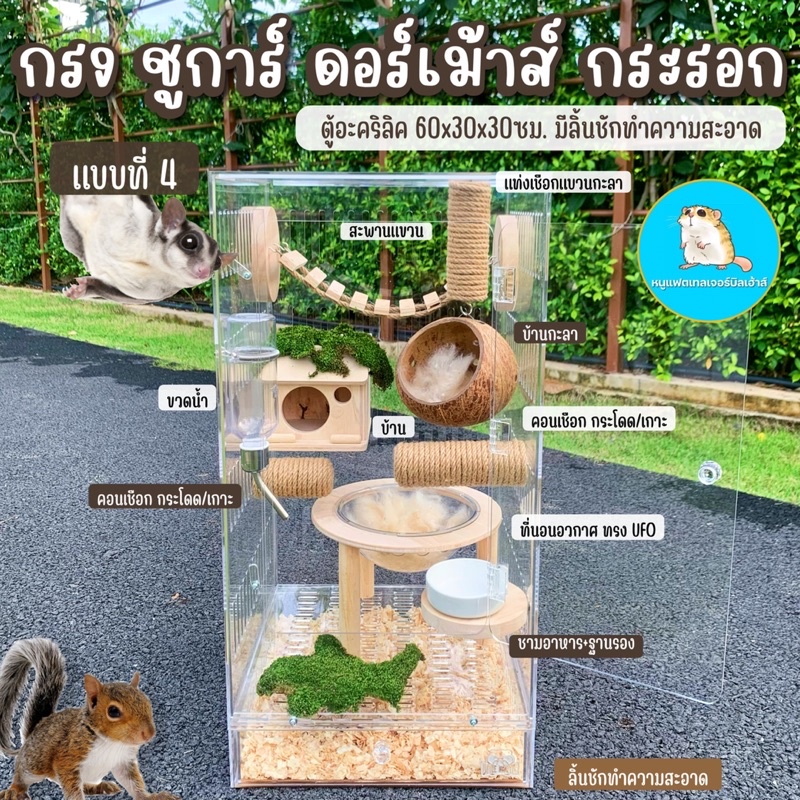 ตู้No.4 กรงเลี้ยงชูการ์ ดอร์เม้าส์ กระรอก 30x30x60ซม./กรงชูการ์ กระรอกจิ๋ว บ้านชูการ์