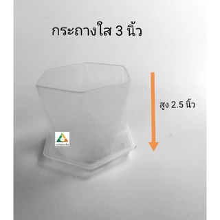 กระถางใส 6 เหลี่ยม ขนาด 3 นิ้วพร้อมจานรอง กระถางกระบองเพชร กระถางแคตตัส กระถางใส