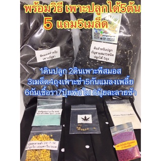 ชุดเพาะสมุนไพร ชา_กัญสายเขียว อารมณ์ดี ดินสูตร พีทมอส เม็ด ถุงเพาะ ปุ๋ย/ยา วิธีทำ