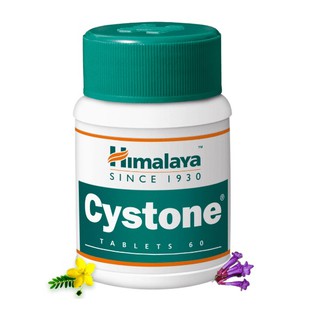 Himalaya Cystone 60 เม็ด ดูแลนิ่วในไต