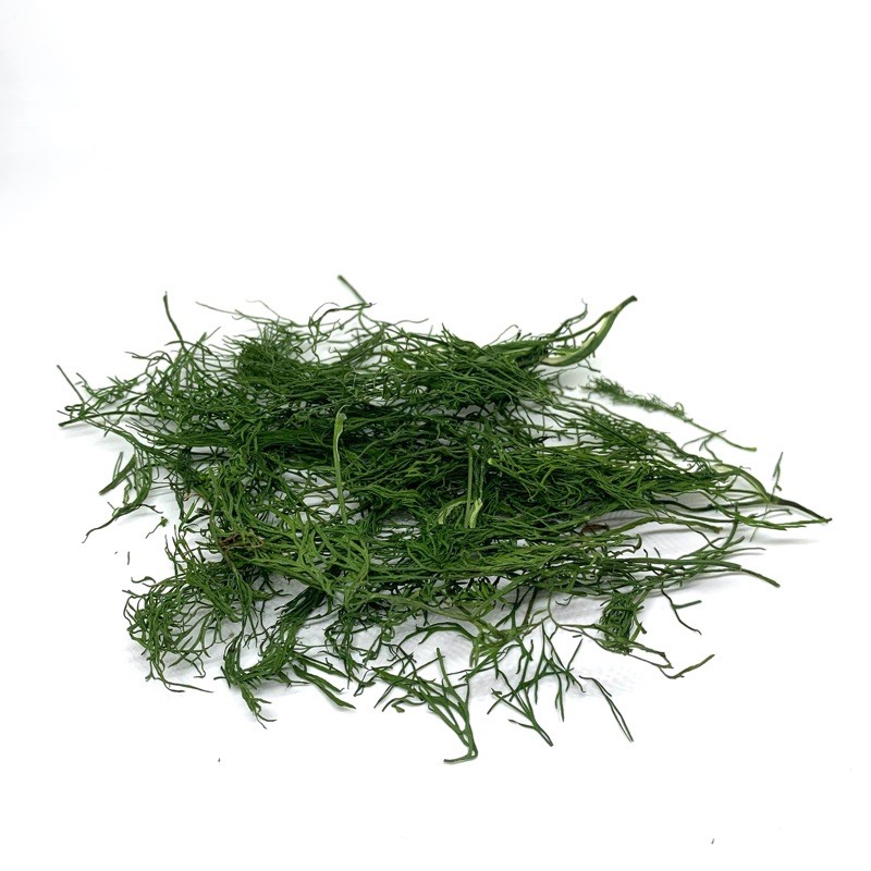 ใบผักชีลาวอบแห้ง ใบดิล 20g - Dried Dill Leaves