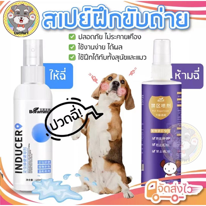 😼🐶 สเปรย์ฝึกการขับถ่าย ให้ฉี่ ห้ามฉี่ สำหรับสัตว์เลี้ยง ฉีดตรงไหนได้ผลตรงนั้น ปลอดภัยไร้สารตกค้าง แมว สุนัข หมา 120 ml