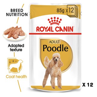 Royal Canin Adult Poodle pouch อาหารเปียก สำหรับสุนัขโต พันธุ์พูเดิ้ล 85g x 12ซอง