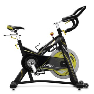 Horizon Spinning Bike GR6