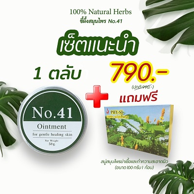 No.41 - ขี้ผึ่งสมุนไพร โรคผิวหนังแพ้เหงื่อ สเกิดเงิน แผลติดเชื้อ แก้ปวด แก้คัน ตุ่มยุบไว สมานแผล ลดรอยแผลเป็น