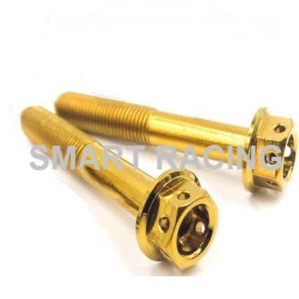 น็อตยึดสวิงอาม NMAX 2015-2023 / XMAX / ADV350 / AEROX (น็อต 2 ตัว)